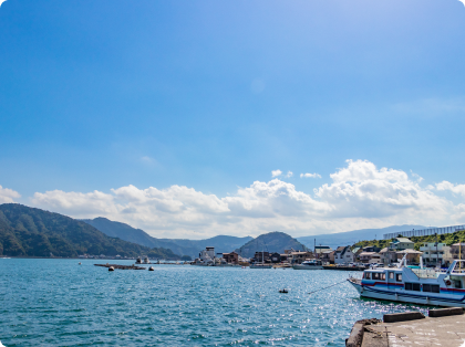 寄港地観光の様子